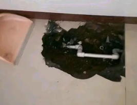 南木林卫生间测漏水多少钱